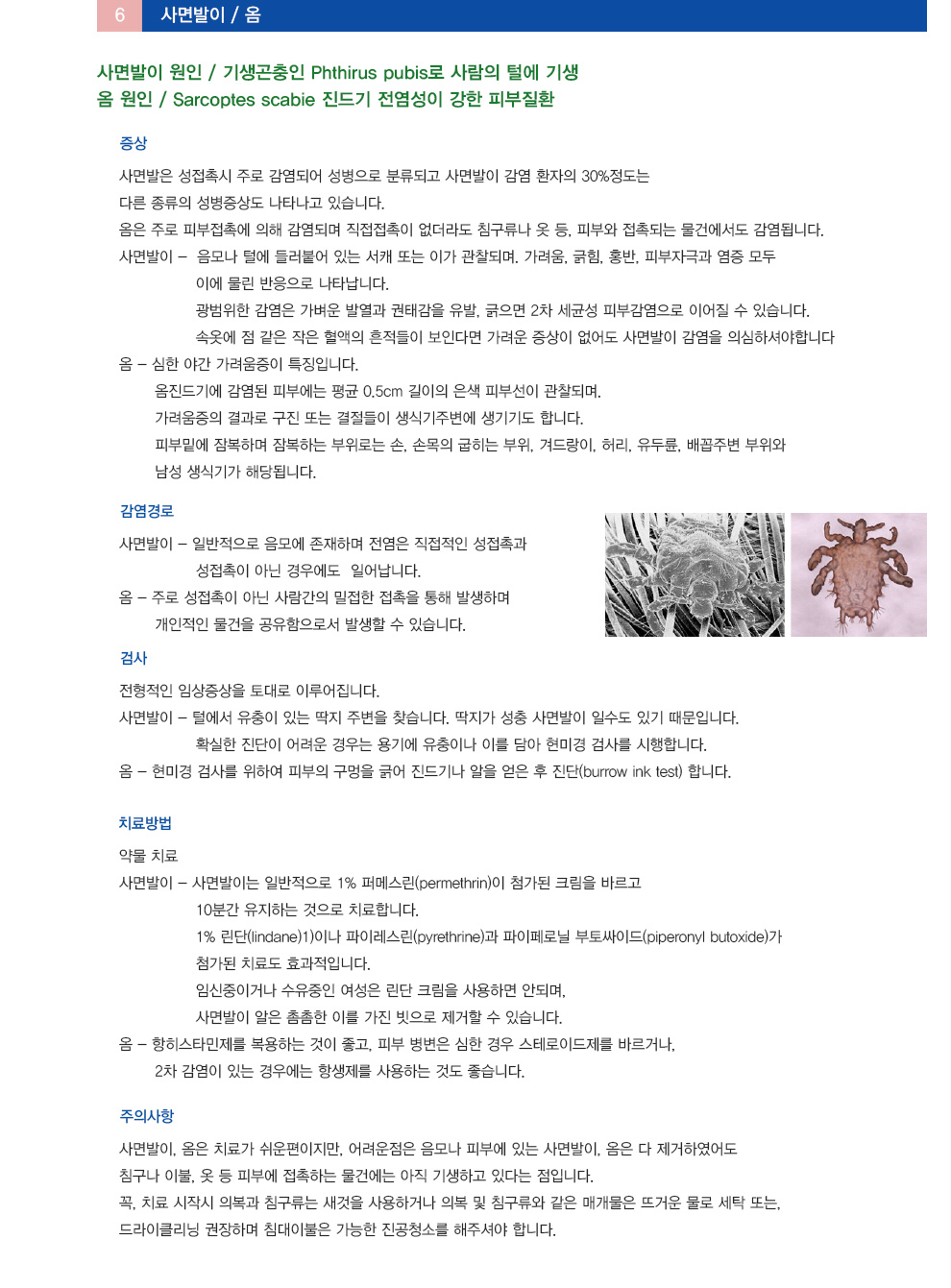 성매개체 감염